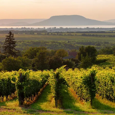 בית נופש In 39890 Balatonmáriafürdő