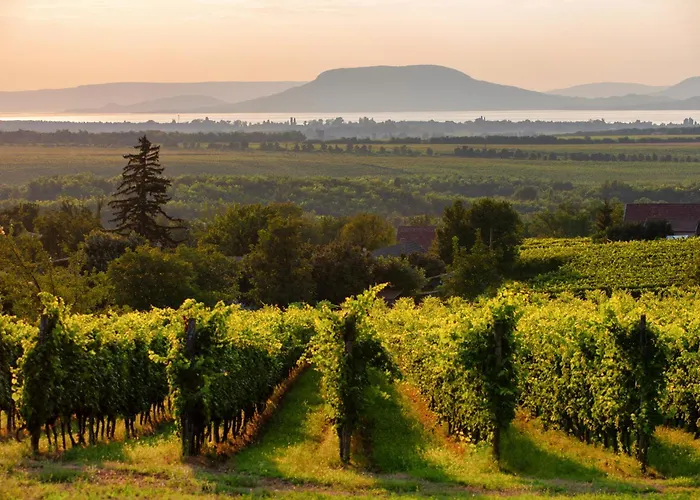 Σπίτι διακοπών In 39890 Balatonmáriafürdő
